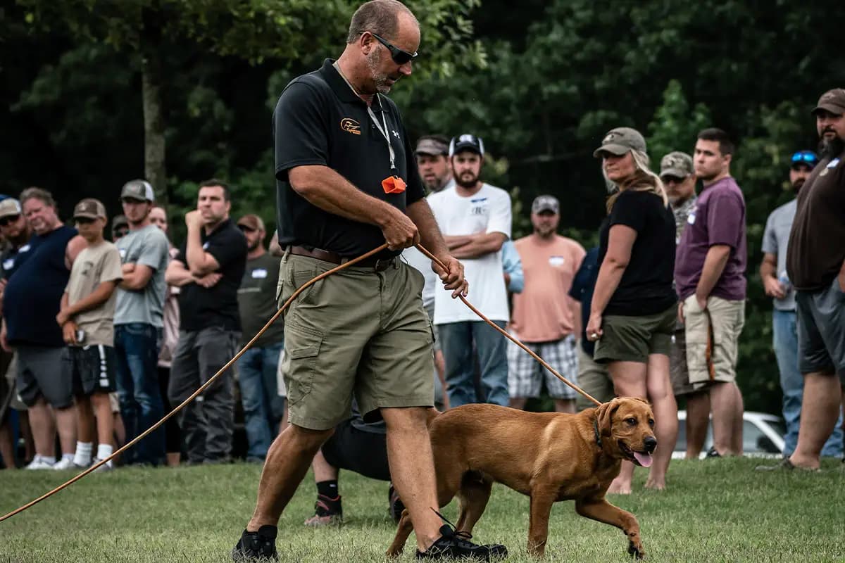 Transform Behavior with a Proven Dog Training Curriculum