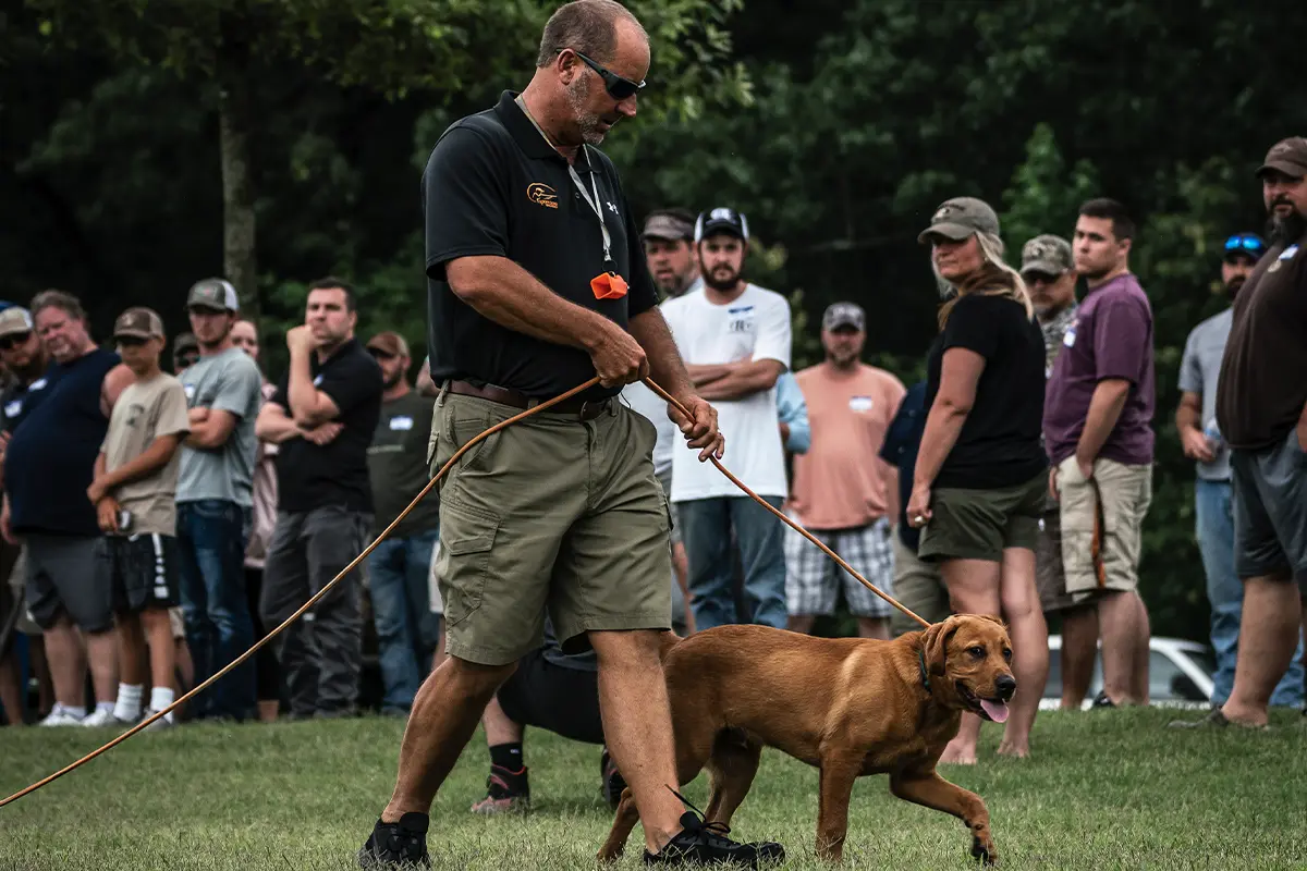 Transform Behavior with a Proven Dog Training Curriculum